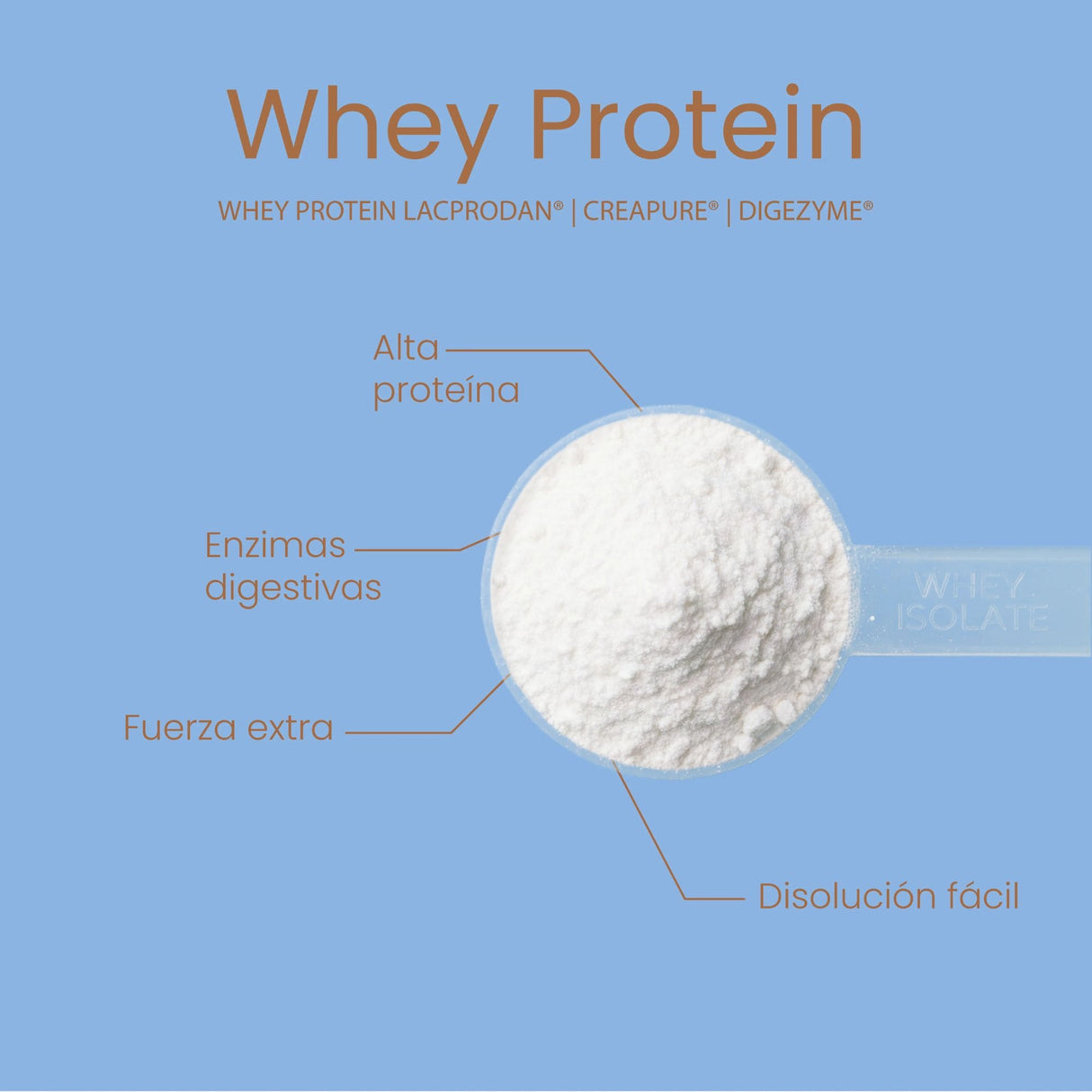 Whey Protein Leche Merengada 1kg – Protella