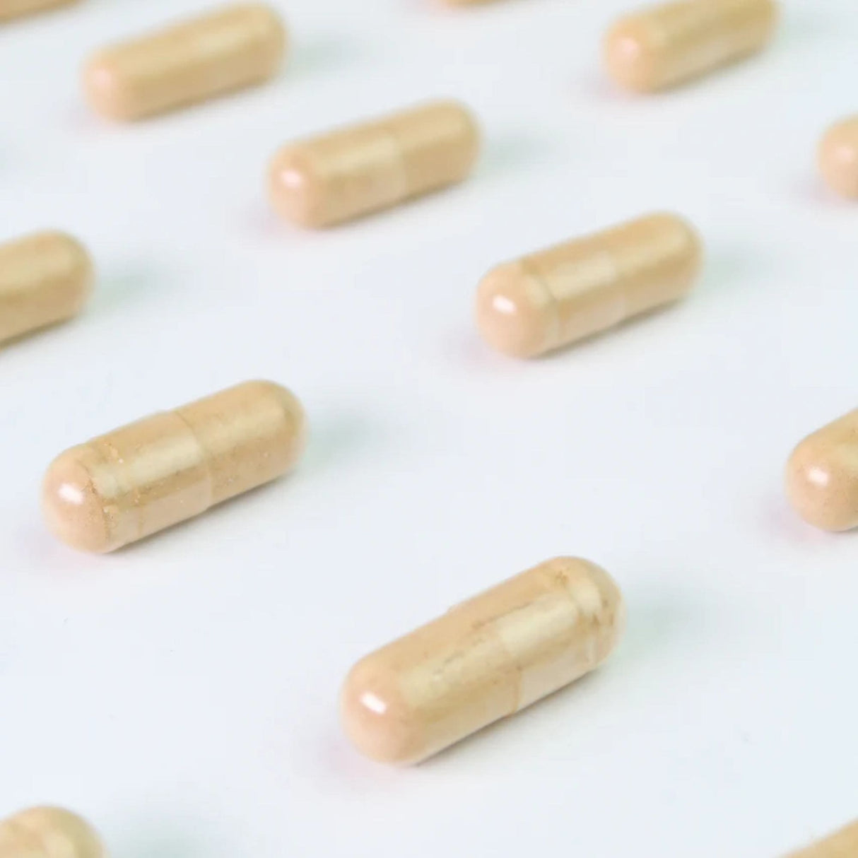 Ashwagandha KSM-66® 600 mg – 60 Cápsulas (by Dr. Antelm Pujol | Protella®)