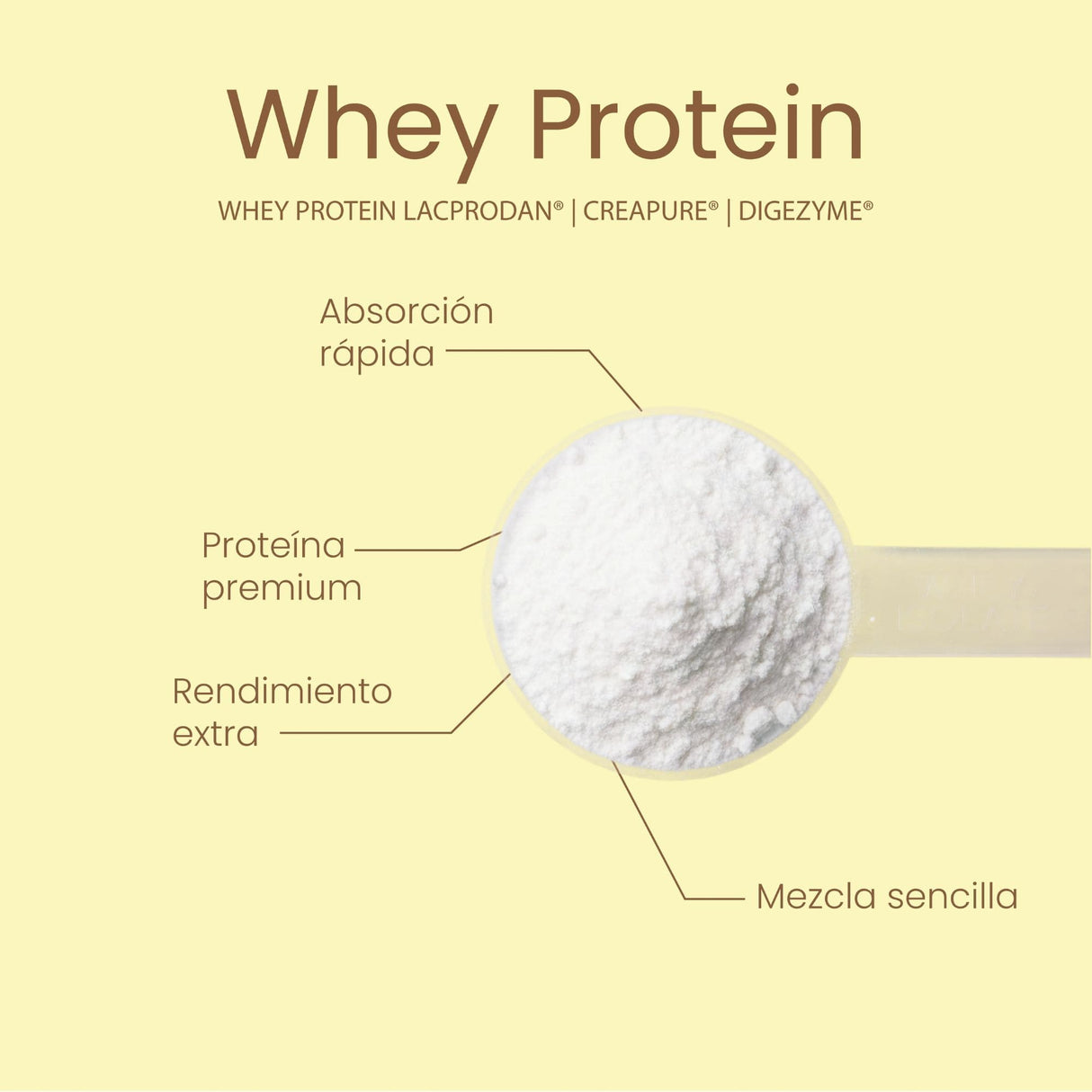 Whey Protein American Cookie 1kg – Protella